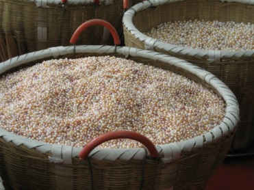 КНР добыча жемчуга фото 2